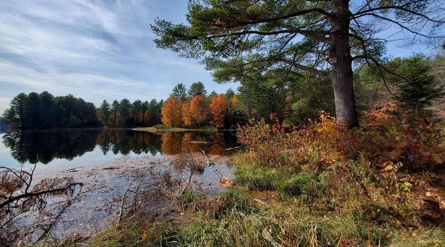 Androscoggin Riverlands State Park, Maine, USA